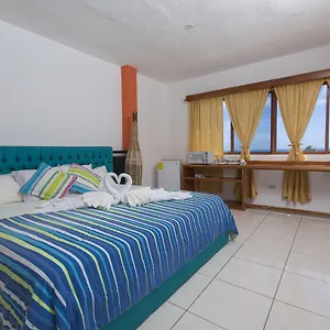 3* Pensión Tongo Reef